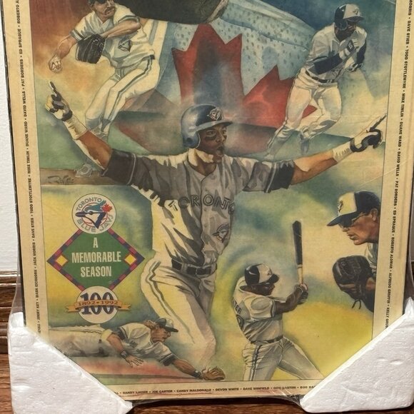 Toronto Blue Jays 1992 Season World Series Championship Toronto Star Wall Plaque - Picture 12 of 16